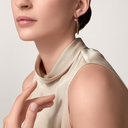 [LUXE] JUSTE HALF DIAMOND LARGE EARRINGS